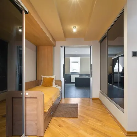 Comfortable - City Center - - Piwna 公寓 *